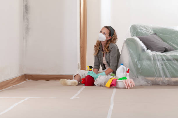 Reliable Basement Mold Remediation contractor in South Orange, NJ by Car Mold Remediation